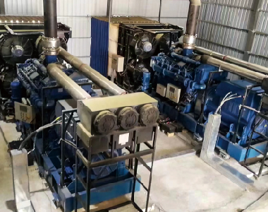 2 x 1000KW/10.5KV/ 6-pole HV Alternators - Xinjiang Gas Power Generation Project